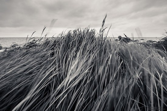 Strong winds on the lake and photographers